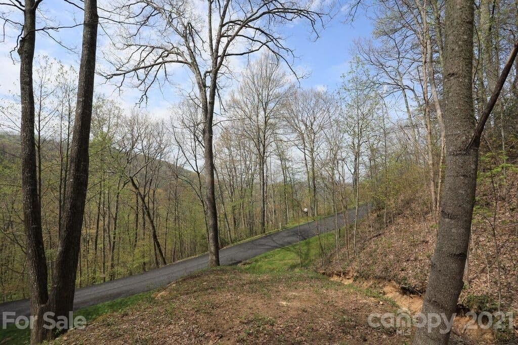 Lot 20 Cliff's Edge Drive image # 1