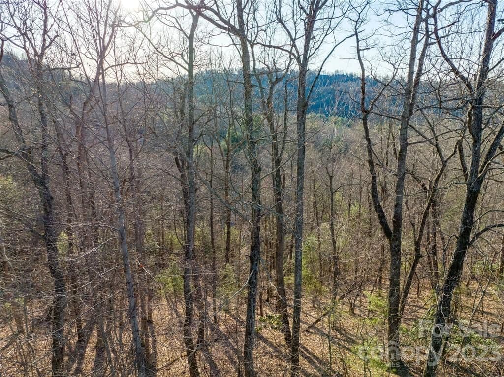 lot 395 Roaring Fork Lane | Champion Hills