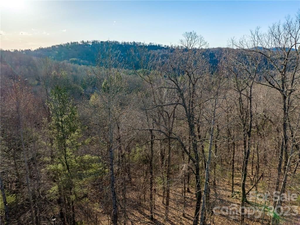 lot 395 Roaring Fork Lane image # 1