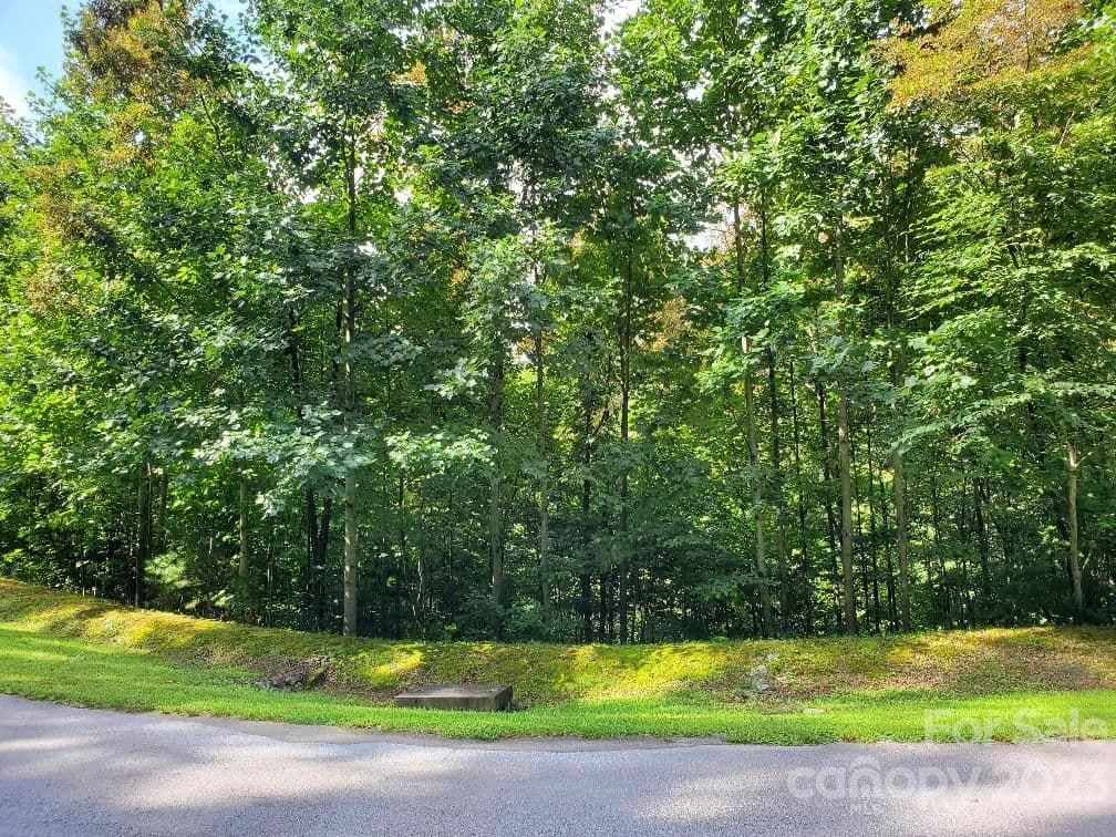 LOT 37 Mountain Morning Lane | Cummings Cove