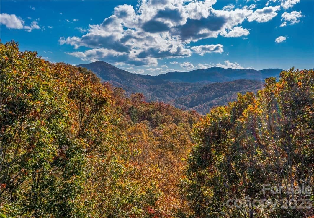 51 Wild Turkey Loop | French Broad Crossing