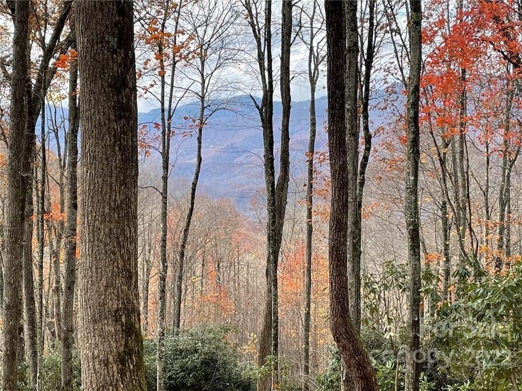 Lt 182 Lumberjack Way | Balsam Mountain Preserve