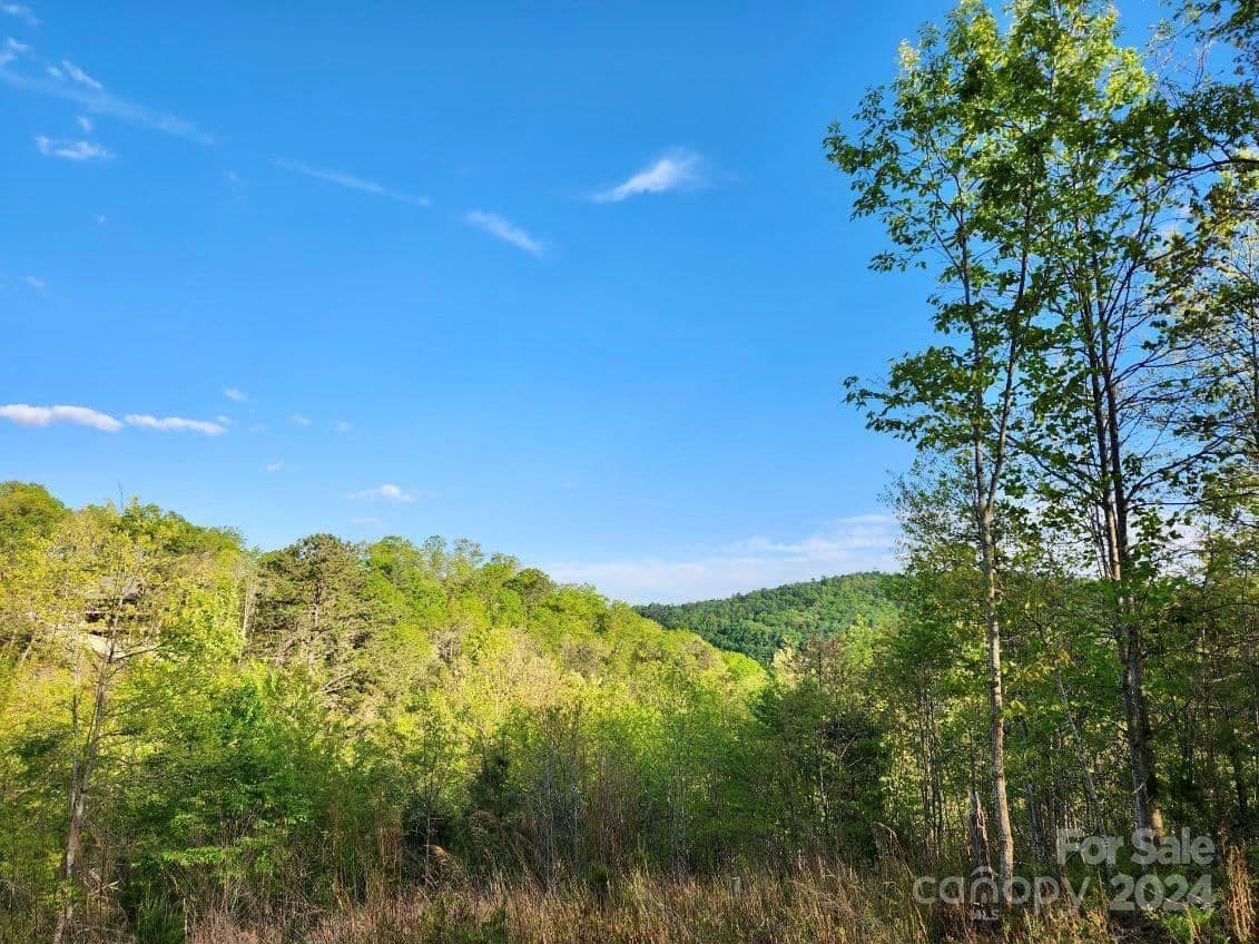 391 Red Fox Trail | French Broad Crossing