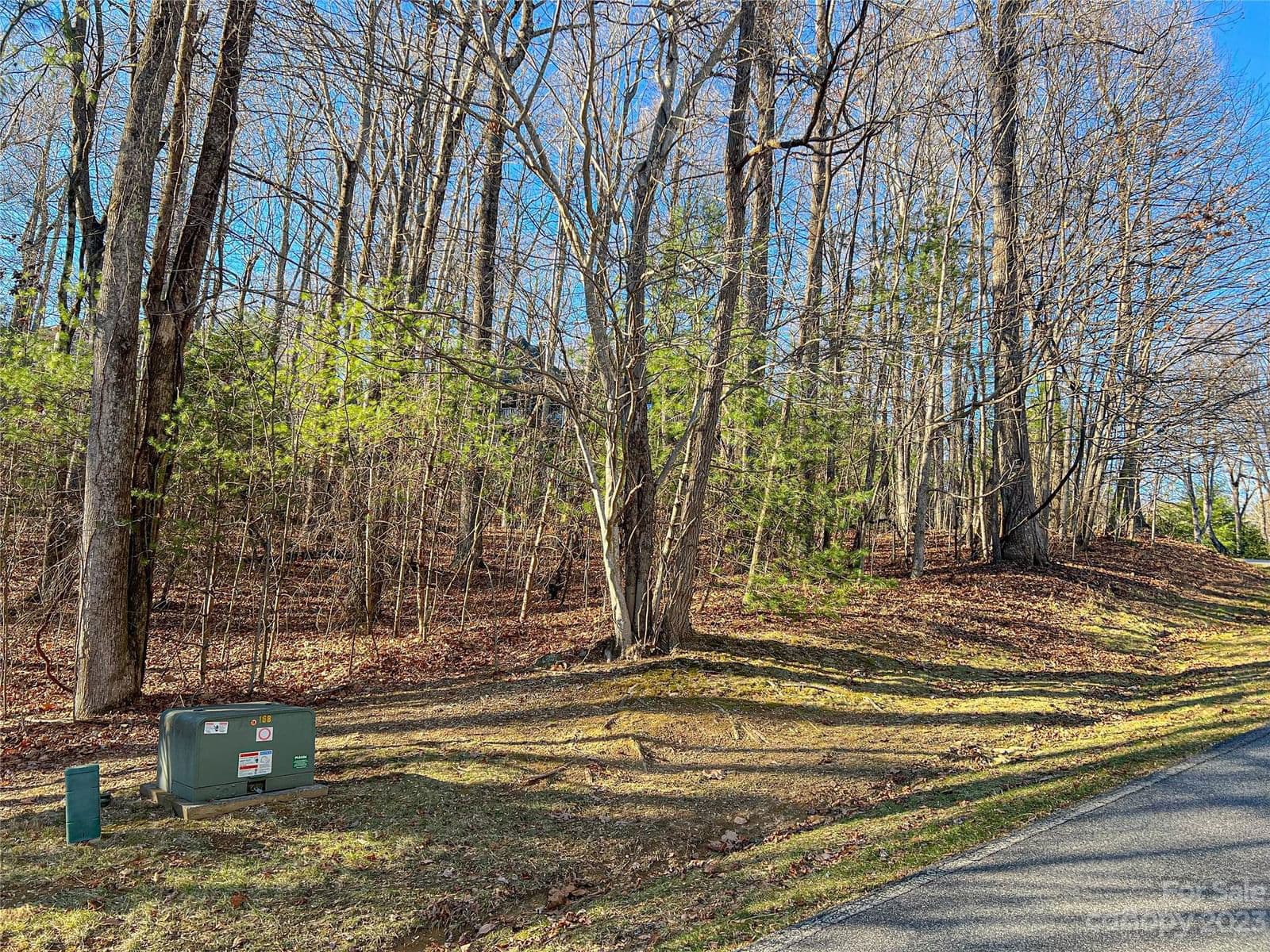 203 Bent Pine Trace image # 1