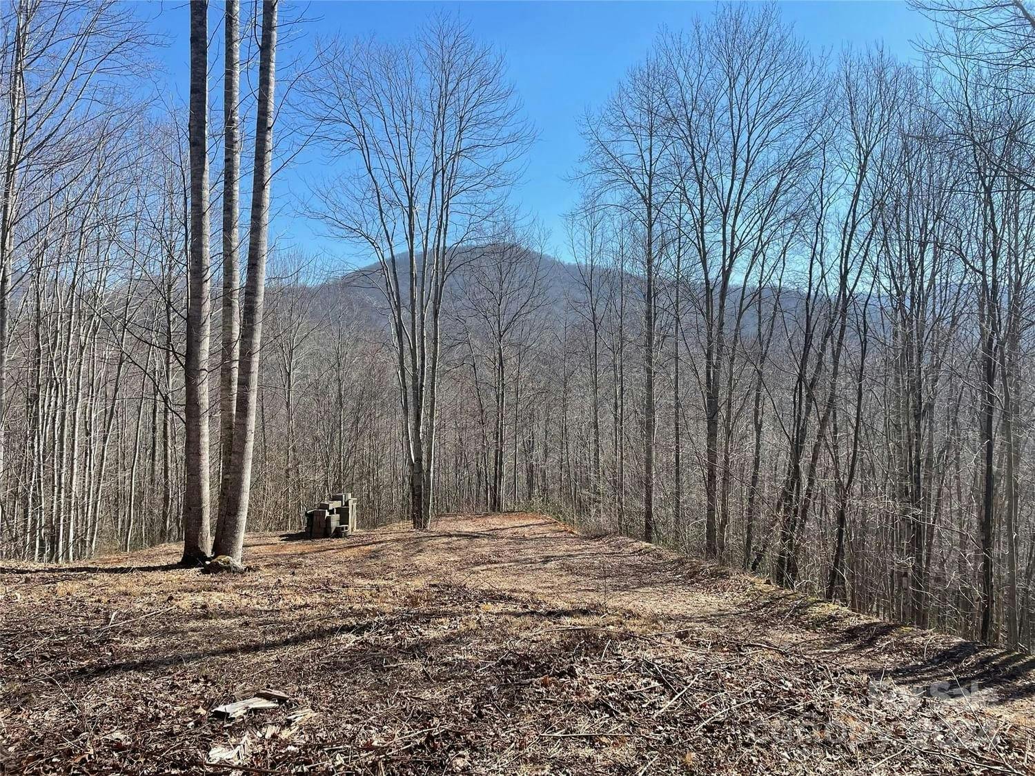 Lt 264 Cabin Flats Road | Balsam Mountain Preserve