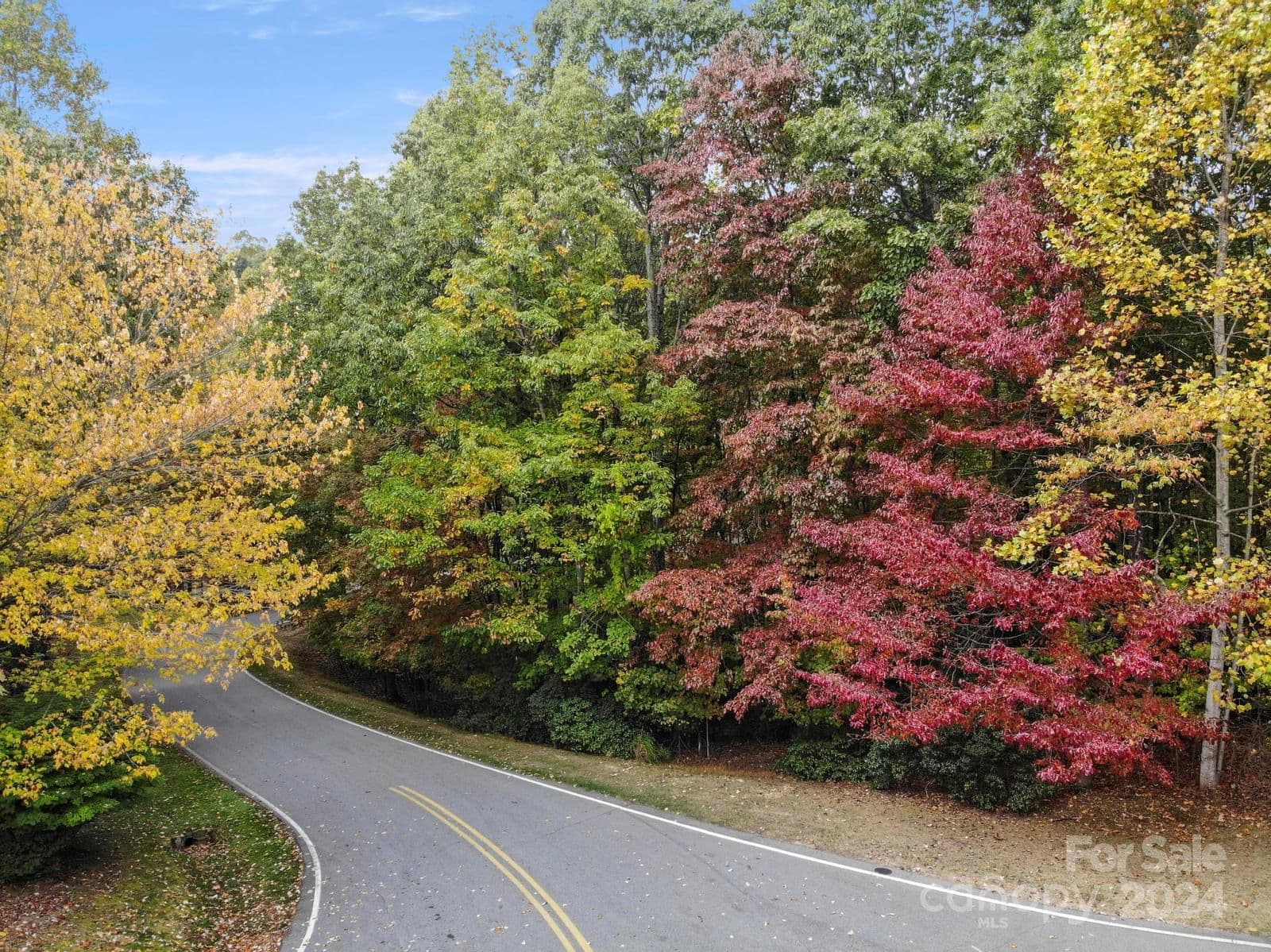 101 Little Cherokee Ridge image # 4