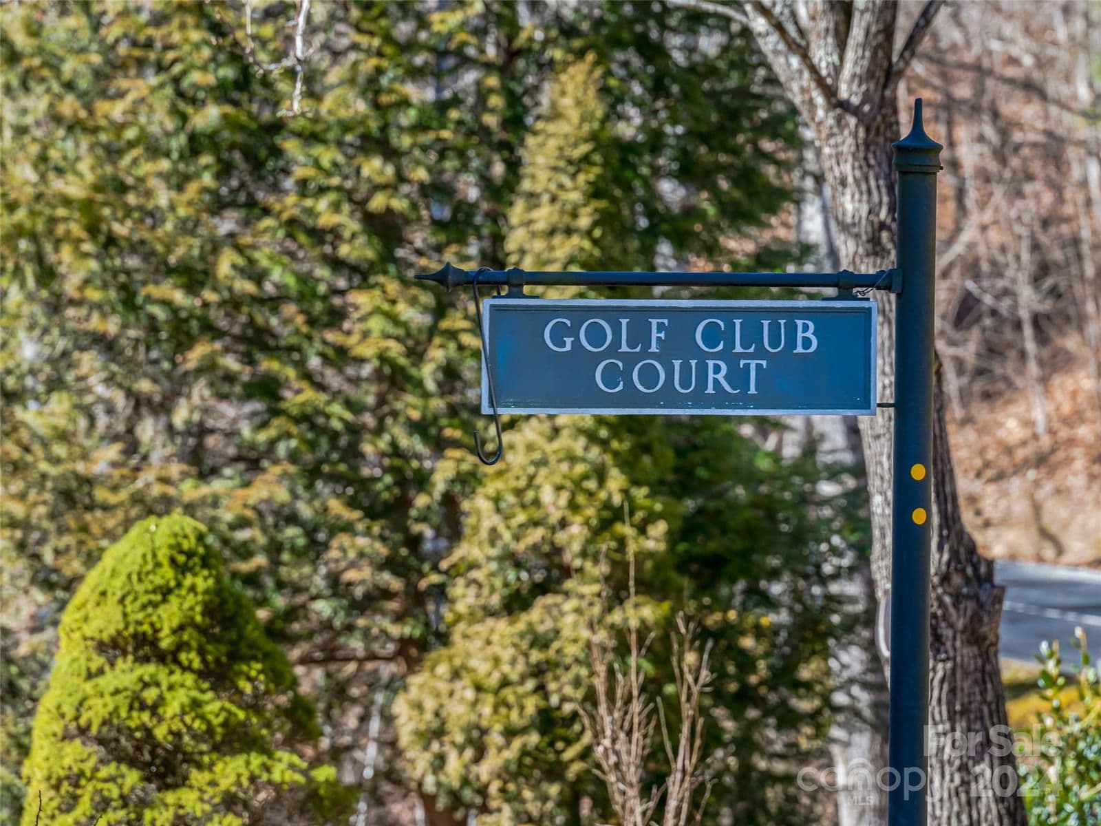 2319 Golf Club Court image # 2