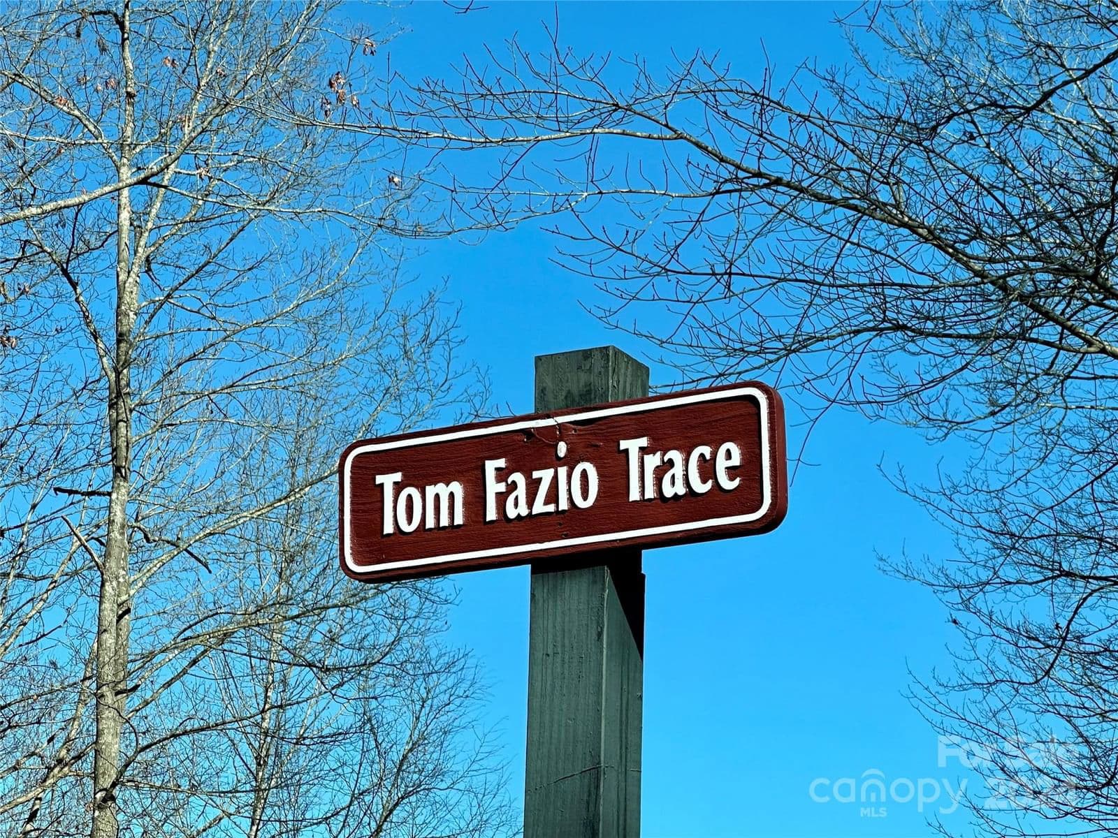 204 Tom Fazio Trace image # 1