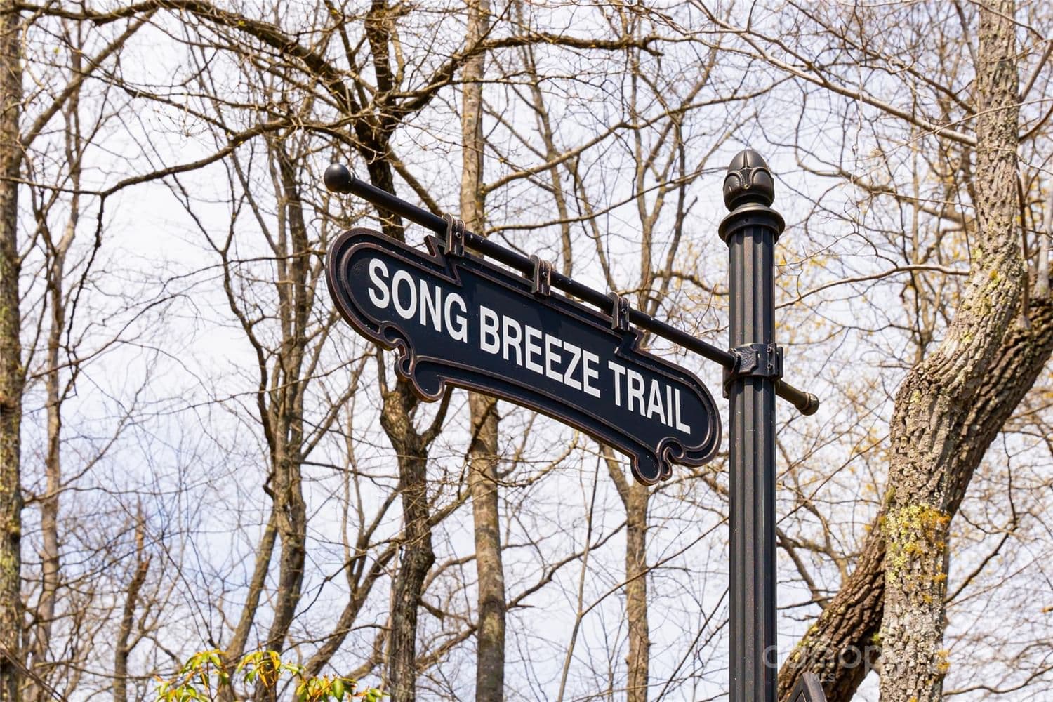 2002 Song Breeze Trail image # 2