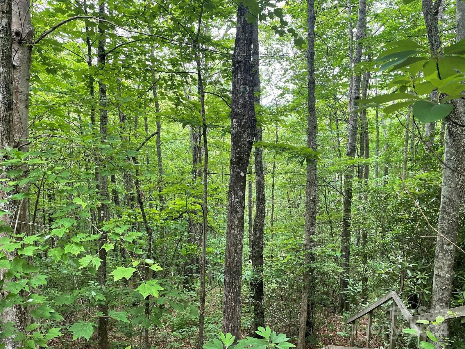 Lt 279 Cabin Flats Road | Balsam Mountain Preserve