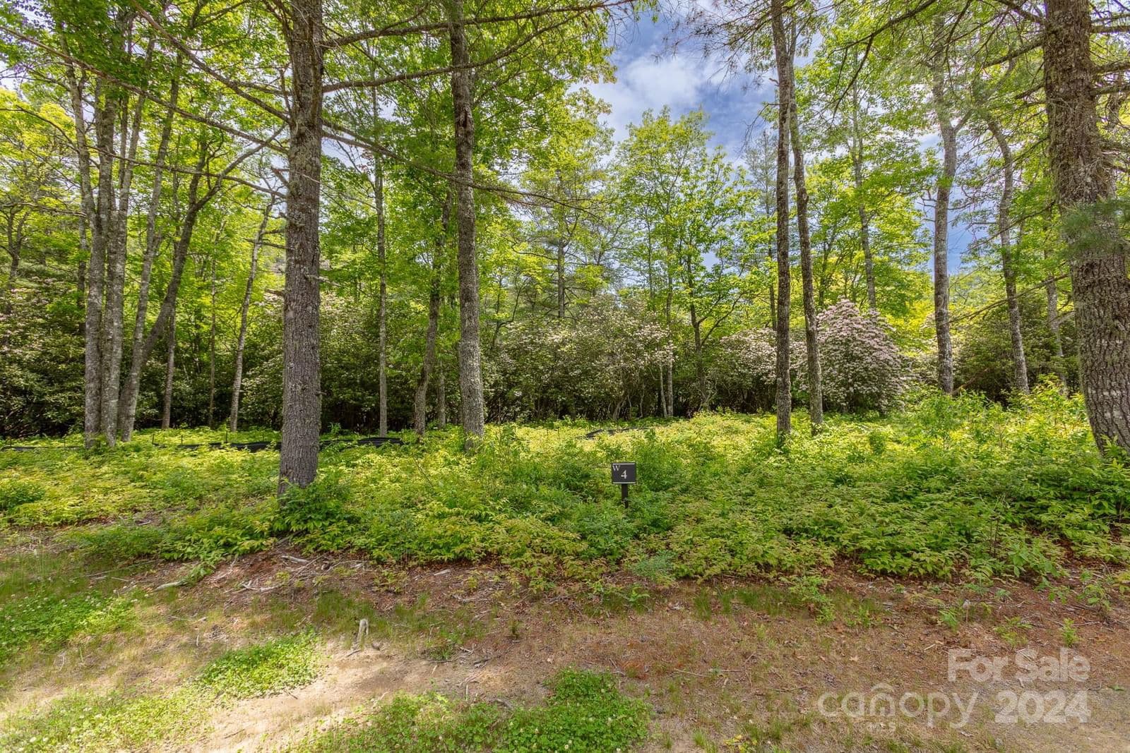 Lot W4 Watersound Trail | Chinquapin