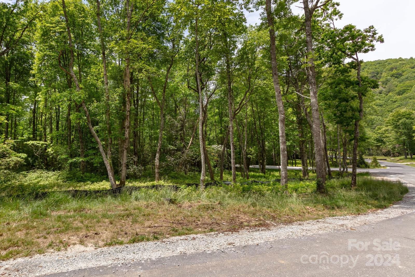 Lot W25 Tioga Trail | Chinquapin