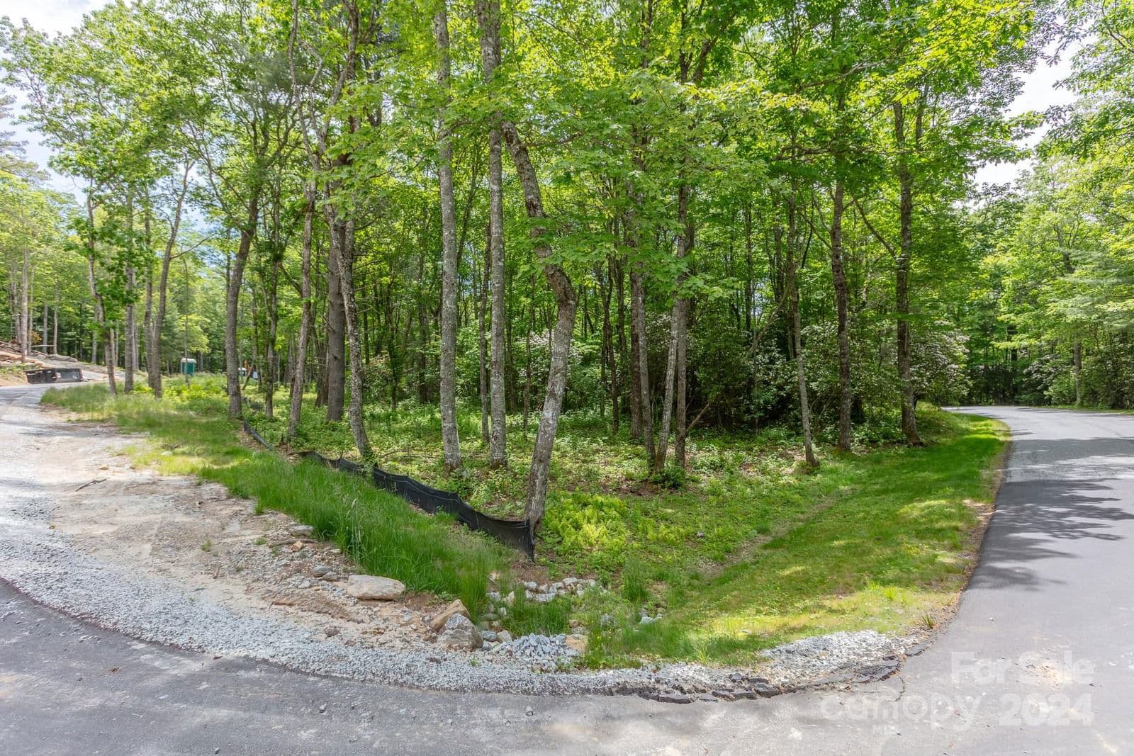 Lot W25 Tioga Trail image # 2