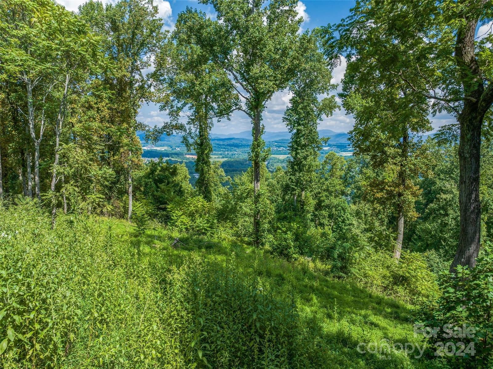 54 Split Rock Trail | The Cliffs at Walnut Cove