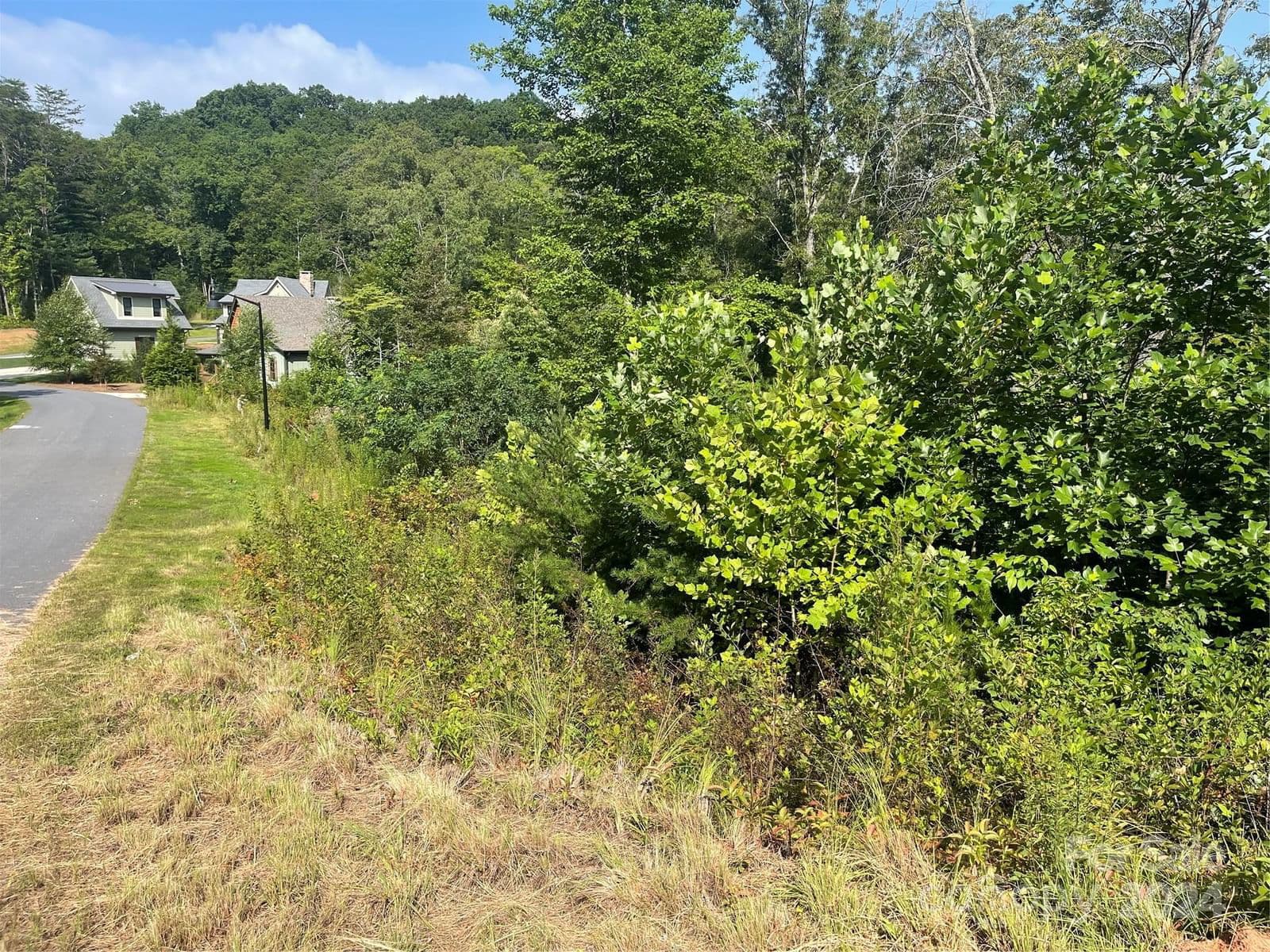 Lot 65 River Club Drive | Cullowhee River Club