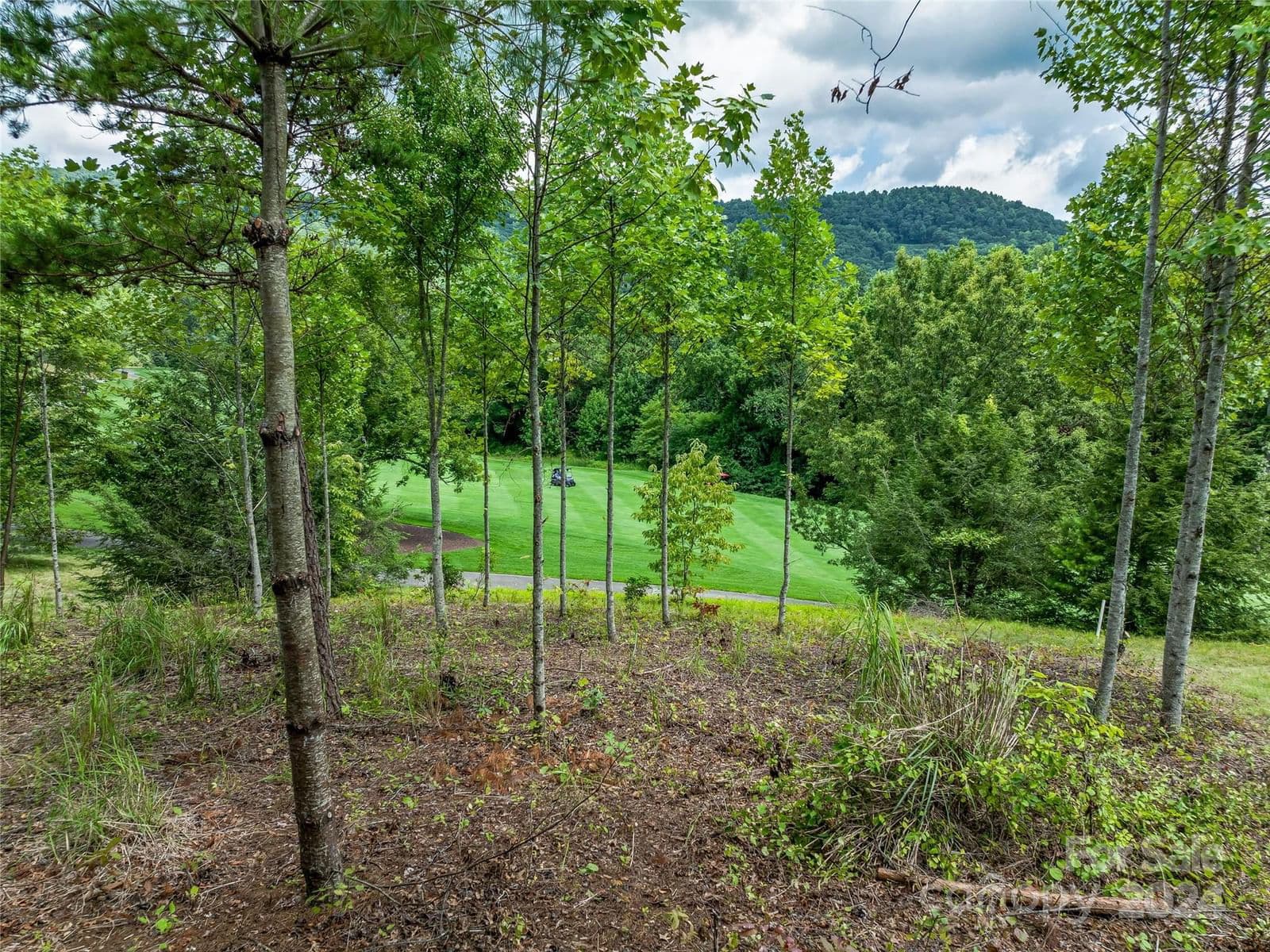 1822 Bella Vista Court | The Cliffs at Walnut Cove