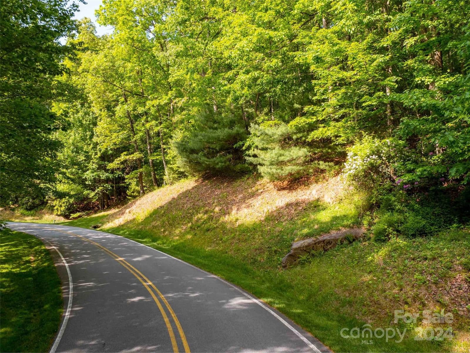 166 Chattooga Run image # 3