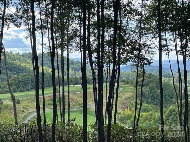 Lt 91 Haulback Way | Balsam Mountain Preserve