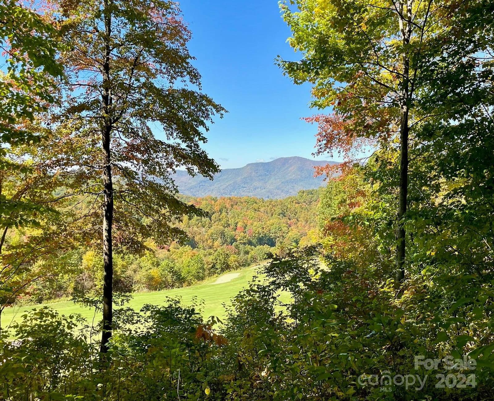 LT 63 1781 High Line Road | Balsam Mountain Preserve