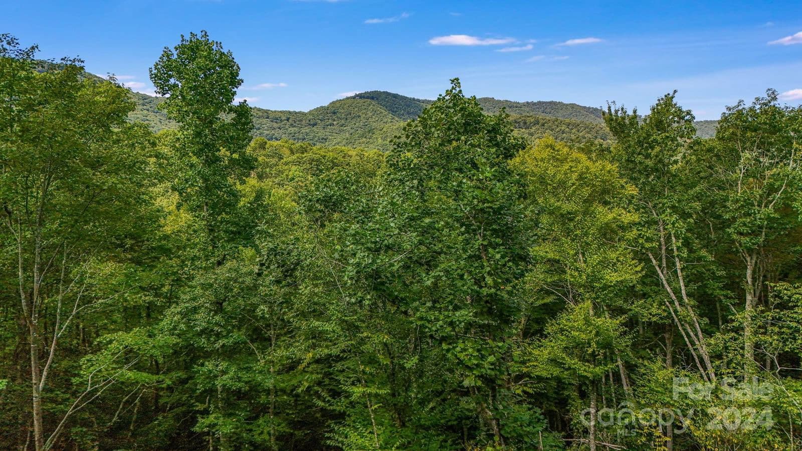 Lot D52 Springwater Road | Chinquapin