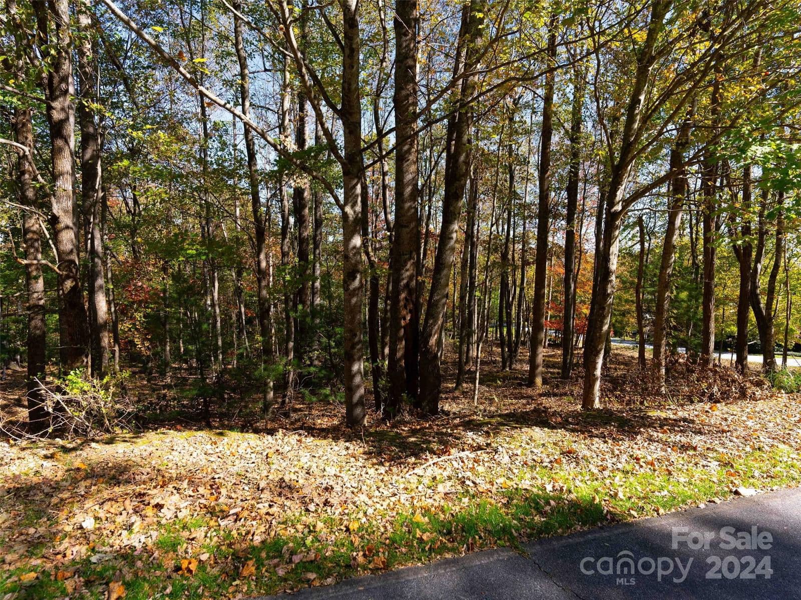 308 Piney Knoll Lane | Champion Hills