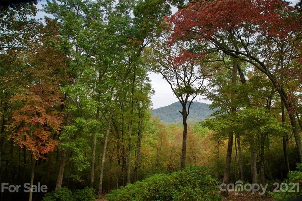 105 Misty Valley Parkway | The Cliffs at Walnut Cove