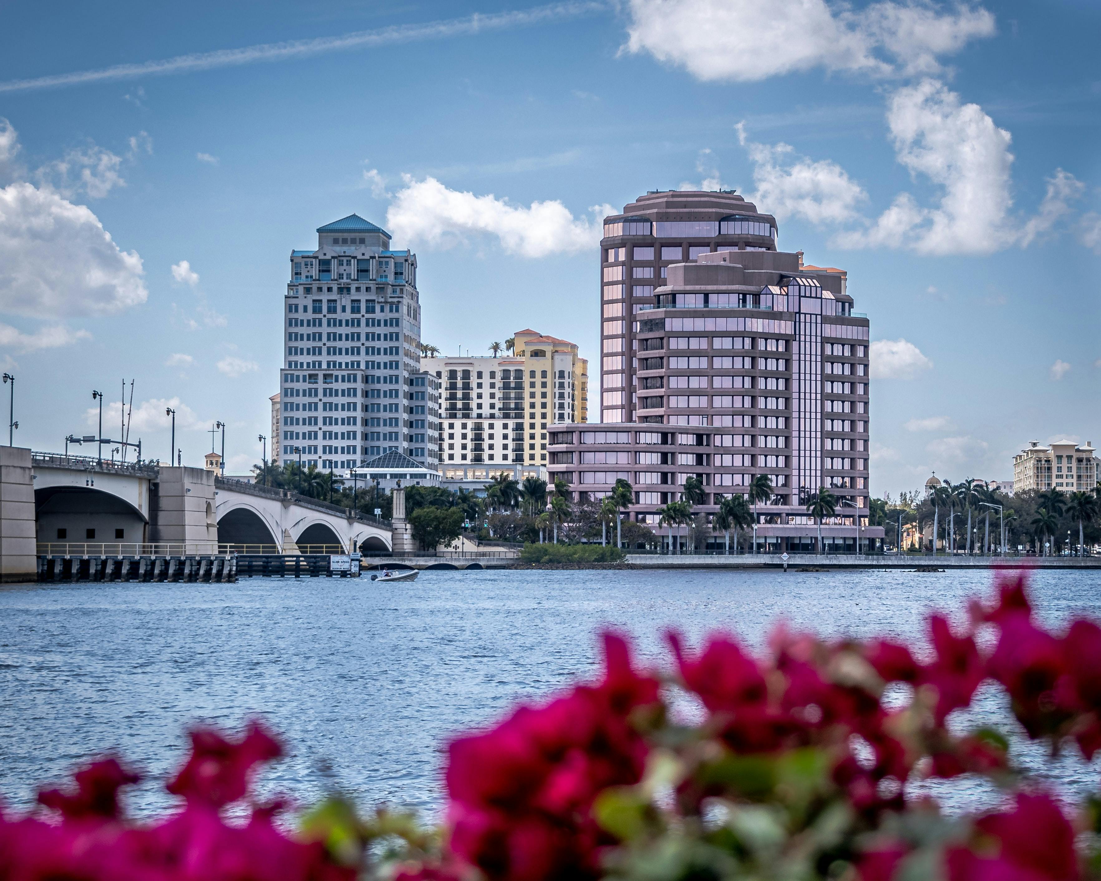 This is an image of downtown West Palm Beach with unfocused pink flowers in the foreground. 